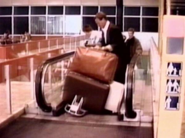 America's Funniest Home Videos - Mischief, Travel Trouble and Fantastic Felines