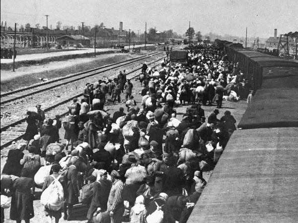 Auschwitz - Voices of 44 Survivors - Extermination