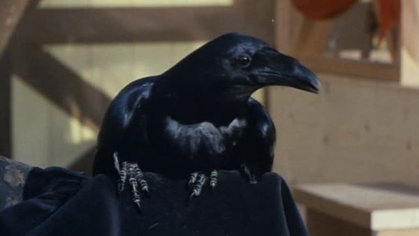 The Wild Wild West - The Night Of The Winged Terror (Part 1)