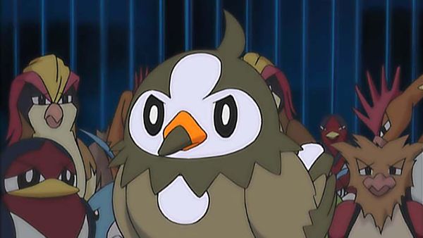 Pokémon: Diamond and Pearl - A Staravia Is Born!
