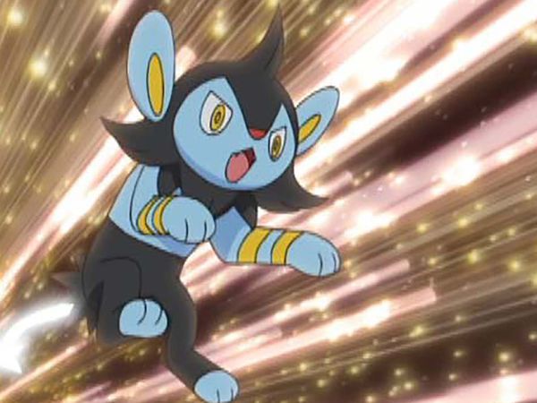 Pokémon: DP Galactic Battles - Leading a Stray!