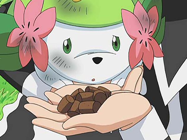 Pokémon: DP Sinnoh League Victors - Keeping in Top Forme!