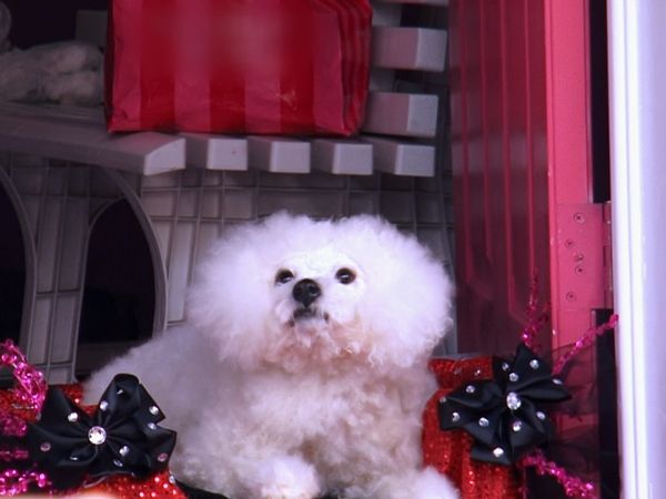 Dance Moms - Episode 339