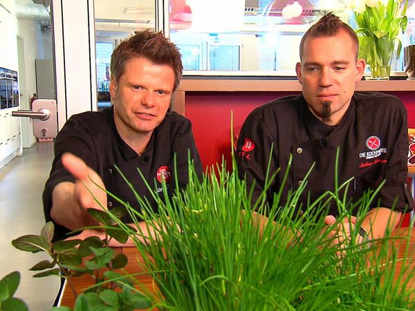 Meine Familie & Ich TV Gastspiel - …mit Andy Schweiger