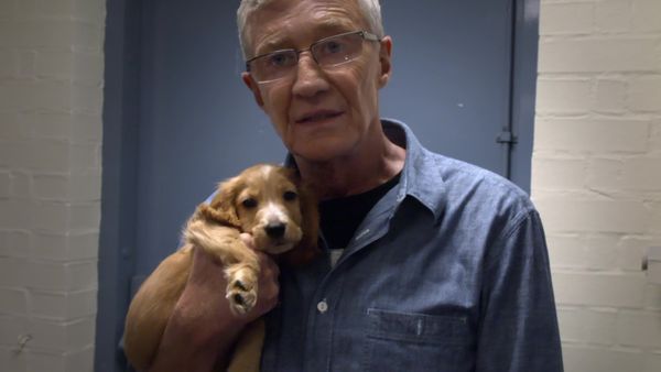Paul O'Grady: For the Love of Dogs - Episode 3