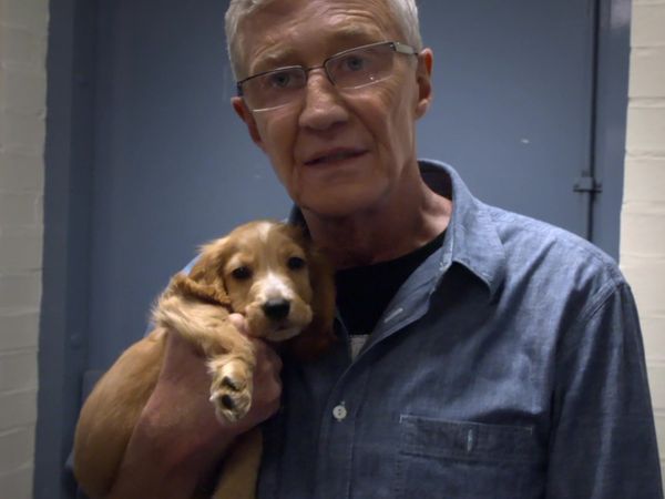 Paul O'Grady: For the Love of Dogs - Episode 3