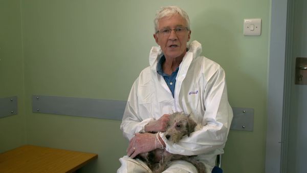 Paul O'Grady: For the Love of Dogs - Episode 4