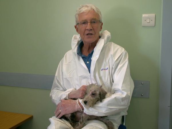 Paul O'Grady: For the Love of Dogs - Episode 4