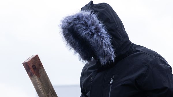 Homicide: Hours To Kill - NEW EPISODE Frozen Stiffs