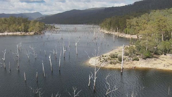Hunt For the Tasmanian Tiger - Episode 2