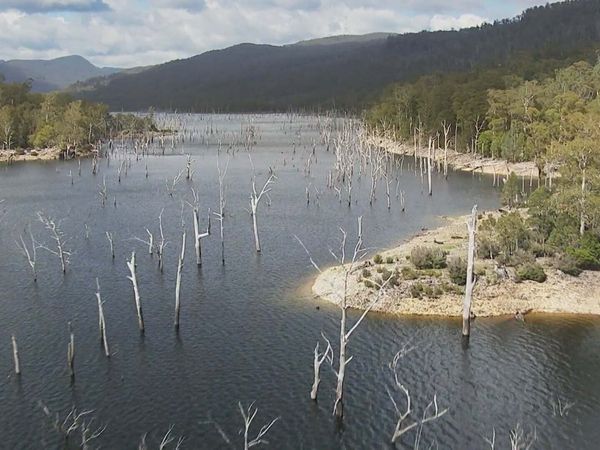 Hunt For the Tasmanian Tiger - Episode 2