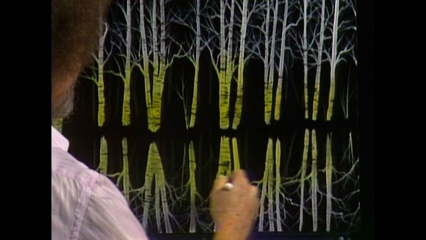 The Joy of Painting with Bob Ross - Snow Birch