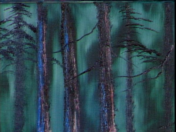 The Joy of Painting with Bob Ross - Secluded Forest