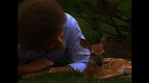 The Joy of Painting with Bob Ross - Russet Winter