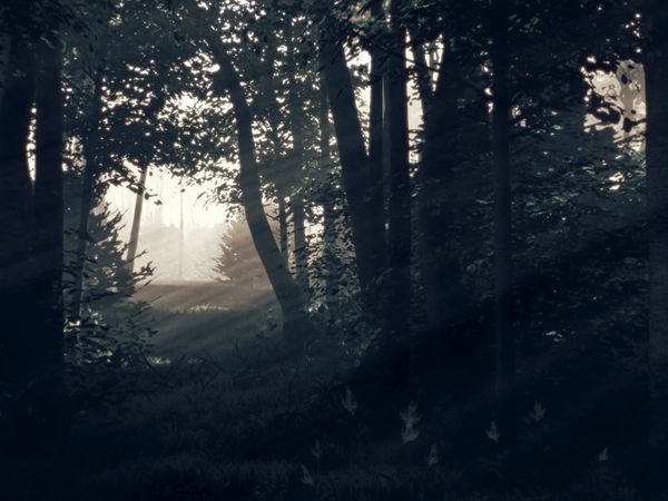 Alien Corridors - The Pine Barrens