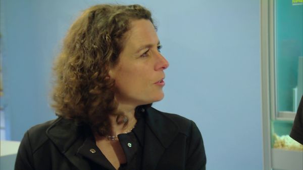 Alex Polizzi: The Fixer - Creature Company