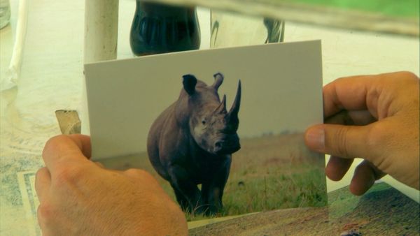 Last Chance To See - Northern White Rhino