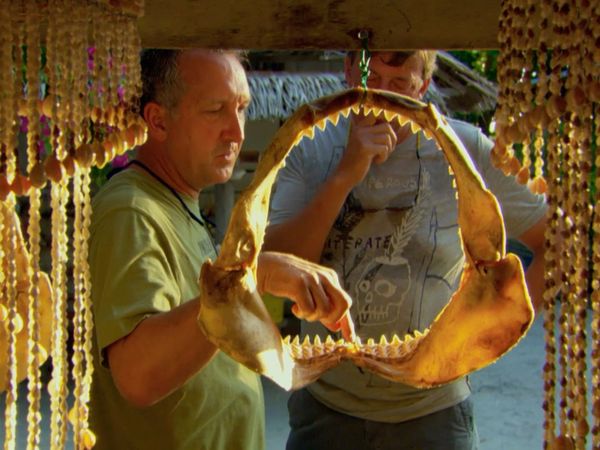 Last Chance To See - Komodo Dragon