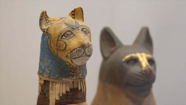 The Egyptian Mummies - Immortality Unwrapped - Scanning - Getting Mummies to Talk