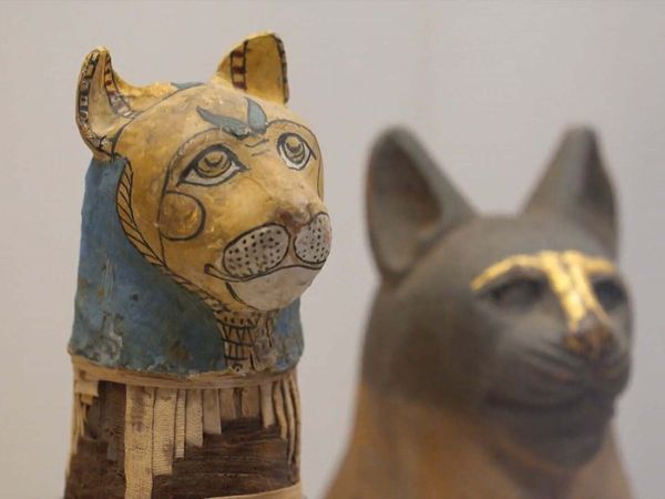 The Egyptian Mummies - Immortality Unwrapped - Scanning - Getting Mummies to Talk