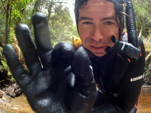 Adventure Gold Diggers - Episode 4