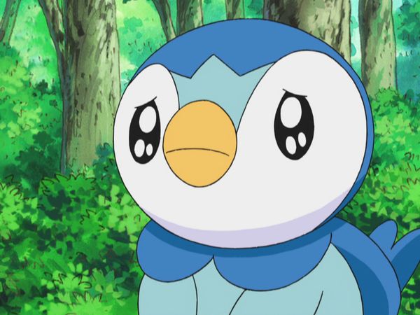 Pokémon: DP Los vencedores de la Liga de Sinnoh - Piplup Emprende el Vuelo!