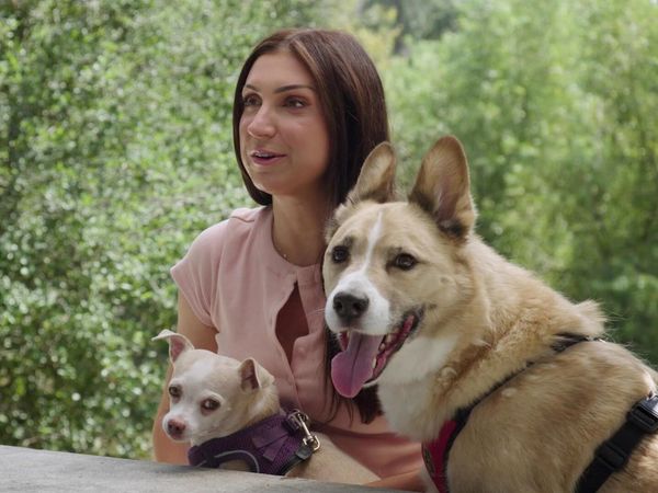 Lucky Dog Reunions - Rosa & Charley Reunion