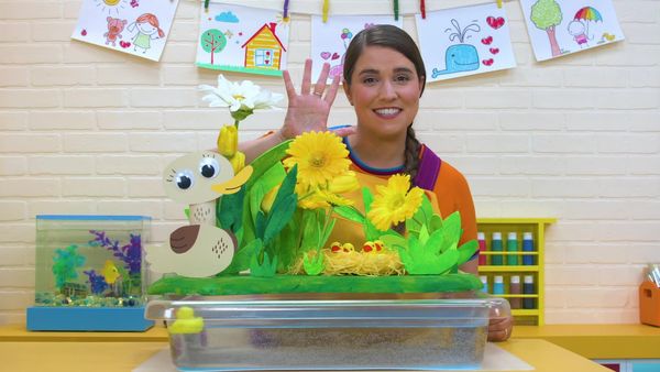 Caitie's Classroom - Ducks, Ducks, Ducks!