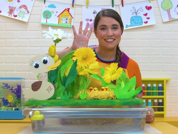 Caitie's Classroom - Ducks, Ducks, Ducks!
