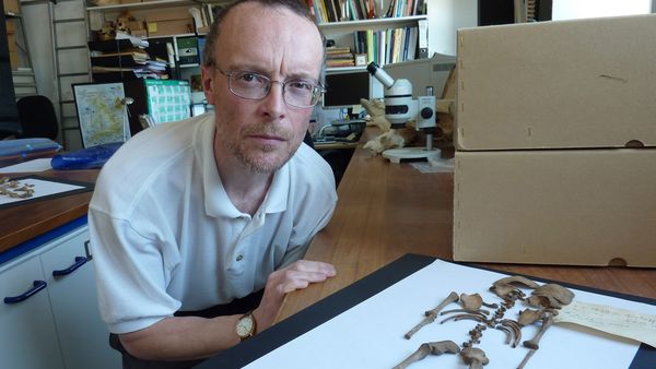 Digging For Britain - Prehistory