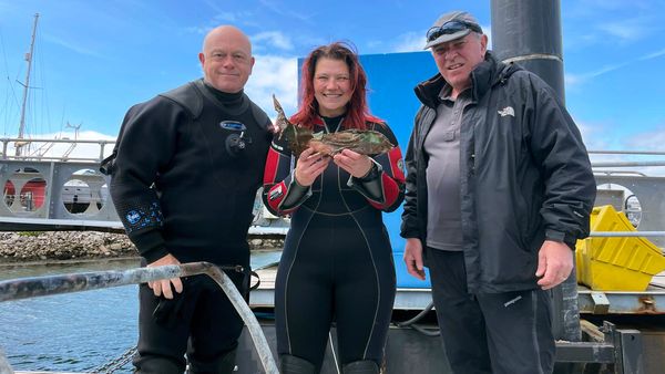 Ross Kemp: Shipwreck Treasure Hunter - The U-Boat Terror