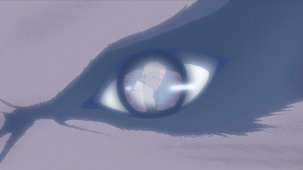 Boruto: Naruto Next Generations - Compañero
