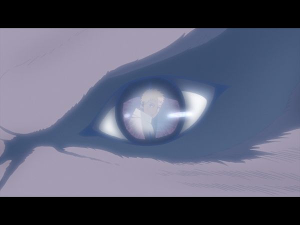Boruto: Naruto Next Generations - Compañero