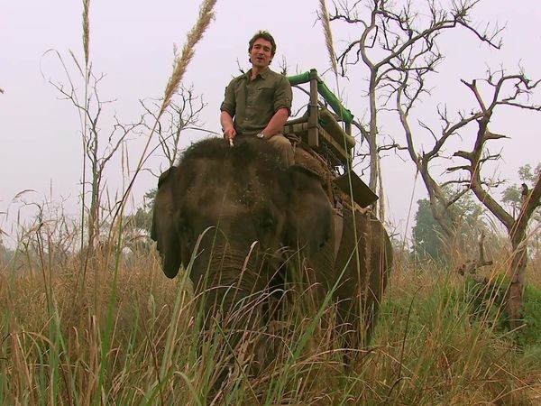 Biggest and Baddest - Man-Eating Tiger