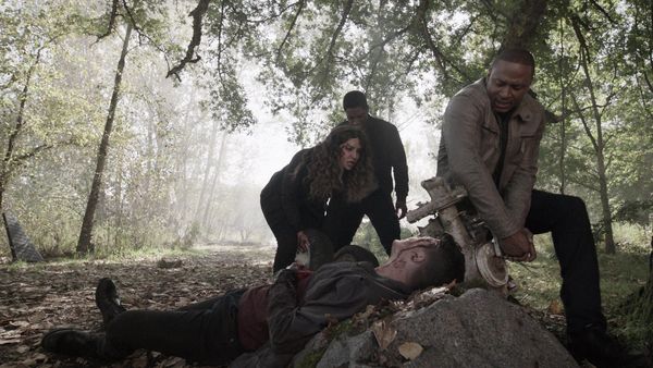 Arrow - Purgatory
