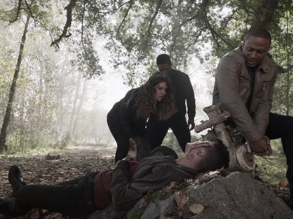 Arrow - Purgatory