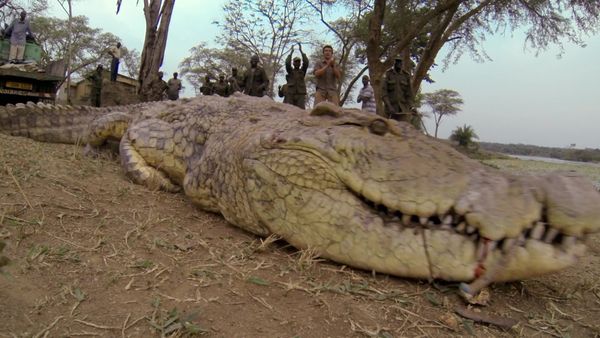 Biggest and Baddest - Man-Eating Crocs