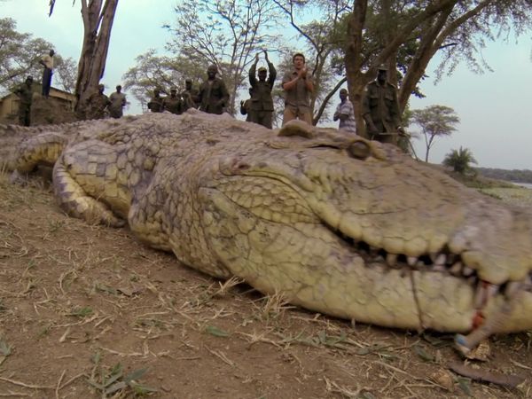 Biggest and Baddest - Man-Eating Crocs