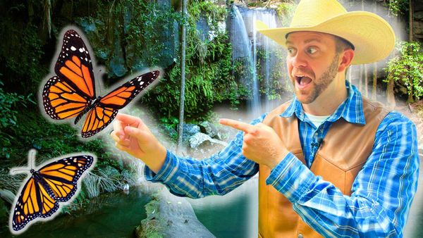 Cowboy Jack - Let's Visit a Butterfly Sanctuary!