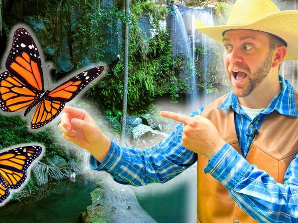 Cowboy Jack - Let's Visit a Butterfly Sanctuary!