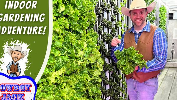 Cowboy Jack - Indoor Gardening Adventure