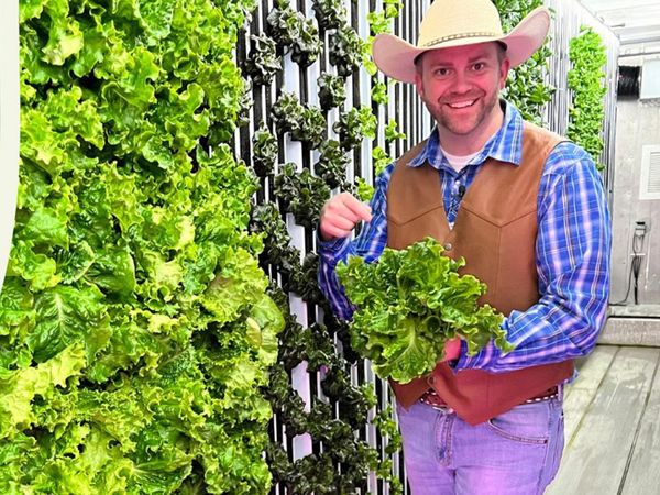 Cowboy Jack - Indoor Gardening Adventure