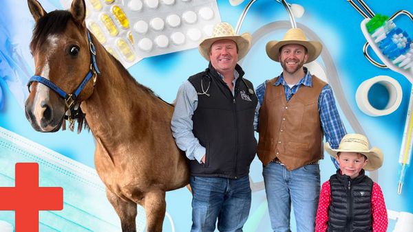 Cowboy Jack - Horses Go to the Doctor - Equine Vet