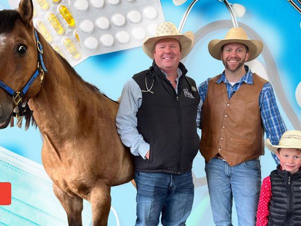 Cowboy Jack - Horses Go to the Doctor - Equine Vet
