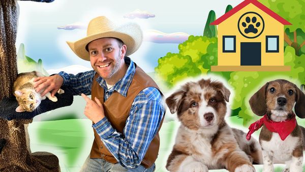 Cowboy Jack - Animal Shelter Tour - Amazing Cats and Dogs