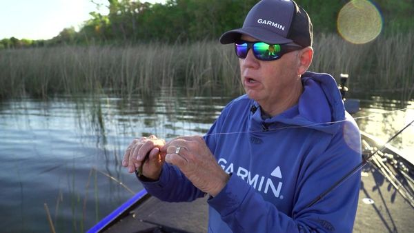 Americana Outdoors - Things You Might Not Know About Bass Fishing