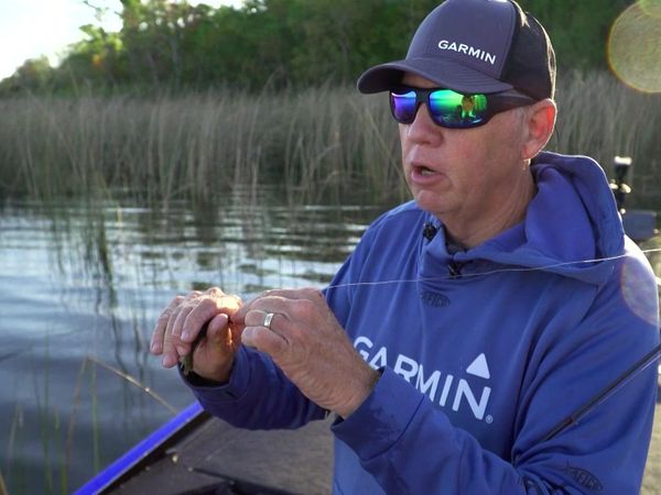 Americana Outdoors - Things You Might Not Know About Bass Fishing