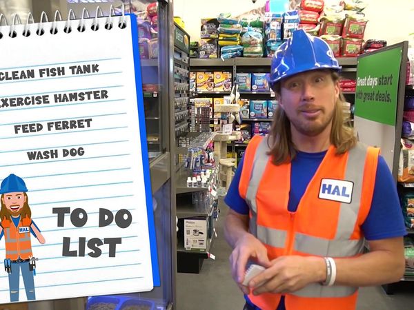 Handyman Hal - Explore a Pet Shop | Handyman Hal Works at Pet Supply Plus | Learn About Animals