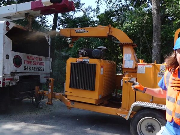 Handyman Hal - Tree Trimming