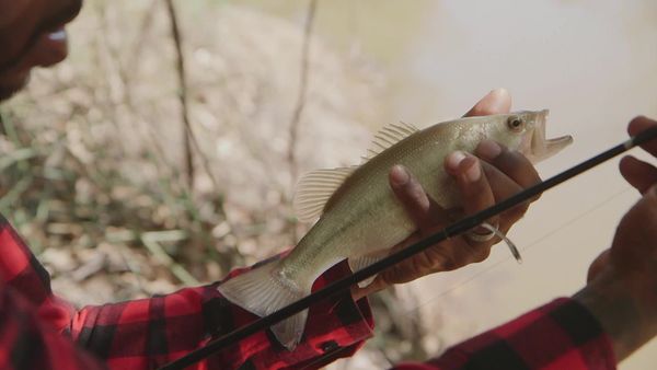 Breaking Bass - Dry County, Wet Fish